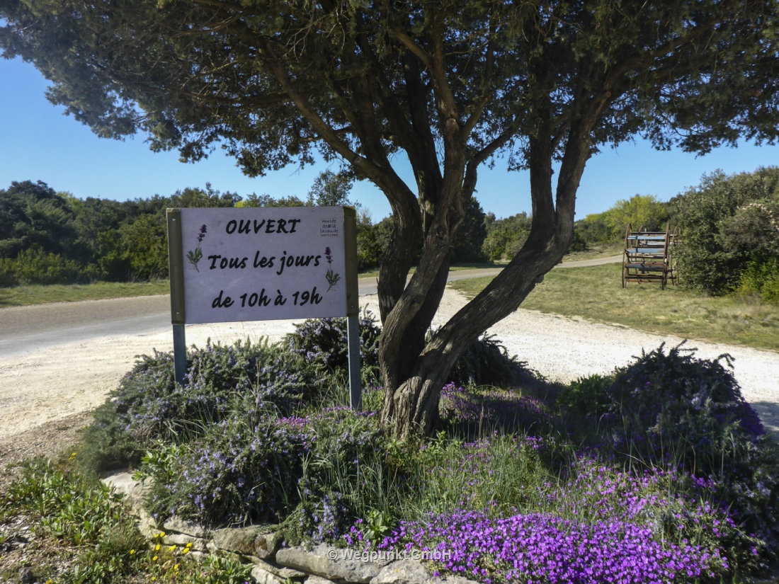 Der Eingang zum Lavendel Museum